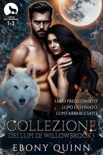 Ebony Quinn - Collezione dei lupi di Willowbrook 1 (2025)