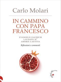 Carlo Molari - In cammino con Papa Francesco (2025)