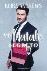 Keira Andrews - Festive Fakes Vol. 3. Un Natale segreto (2025)